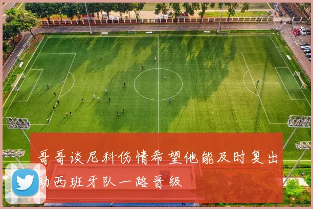 哥哥谈尼科伤情希望他能及时复出助西班牙队一路晋级