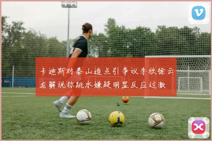 卡迪斯对泰山造点引争议李欣徐云龙解说称跳水嫌疑明显反应过激